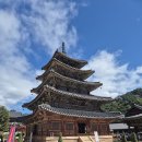 충북 보은 속리산 문장대(1054M) 2026.11.8 이미지