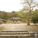 야초목장 | [경기 안성시][가족 추천 코스] 동물체험 농장과 신명 넘치는 우리 문화의 매력을 만나다