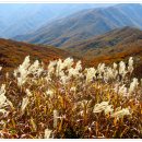 고향산장 이미지