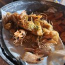 벌떡새우 이미지