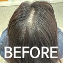 클로버 | 청주 오송 2산단 미용실 뿌리 염색 메이클로버 후기