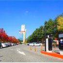 팔달공영주차장 이미지