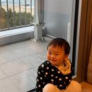 초당솔향약국 이미지