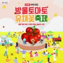 부여꽃