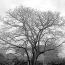 어계고택 이미지