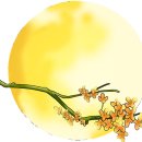 경동메디칼 이미지