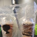 모리셔스 브라운 이미지