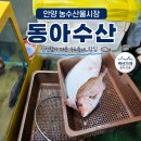 안양 회 포장 맛집 농수산물시장 동아수산 처음 방문했어요