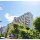 주공9단지 이미지