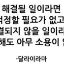 딜라이라