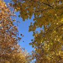 왕숙천둔치공원(강동대교) | 한강 1200리(33)/미사대교→천호대교→영동대교