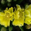 드림펜션 이미지