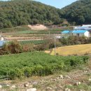 위재덕 Daum카페