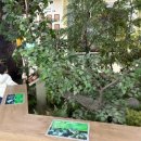 산림욕장 | 진해만생태숲학습관 2층 실내 산림욕장 힐링 후기 (주차·관람시간 정리)