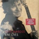 While You See A Chance / Steve Winwood 이미지