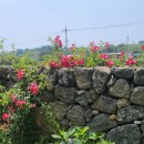 꼬맹스테이 이미지