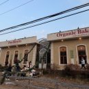 동건스애견카페 | [의정부] 애견동반 크리스마스 대형카페 ‘투하츠베이커리’ 주차 웨이팅 후기