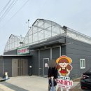 다은이 농장 이미지