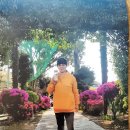 순옥라이프
