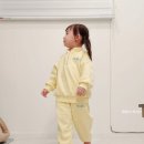 데일리 마카롱