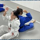 제이탑 유도 멀티짐 이미지