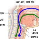 엠케이짐 네이버블로그
