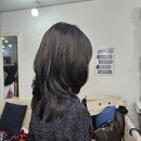 살롱드벨 - 보령시 | 열펌전문 서초동미용실 살롱드벨