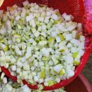 햇살품은 김치 이미지