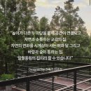 제주가스충전소 | 롯데리조트제주 아트빌라스 이종호 74평형 4룸 숙박 후기
