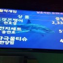 DMZ실내낚시터 이미지