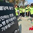 송종국 카카오 검색결과