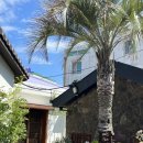 애월숲에101 이미지