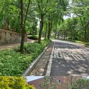 국선도 종합 이미지