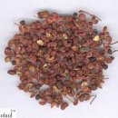 천초한의원 이미지