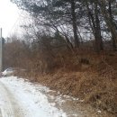 조현양농장 이미지