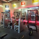 마루복싱 이미지