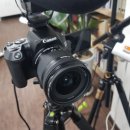 타로상담사 자격증반 | [온라인/오프라인 타로교육] 타로 통변, 해석, 실전풀이반 수강생 모집