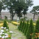 안면펜션 이미지