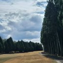 투온골프 | 일본골프여행 다색 다카마쓰골프장 온천골프 패키지 정보 라운딩후기