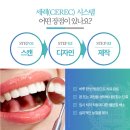 시카고 치과기공소 이미지