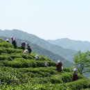 다산원