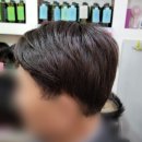 소피아헤어앤가발