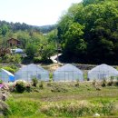 먼시골에서 이미지