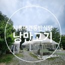 낭만식당 | 시흥 부천 애견동반 식당 낭만고기 내돈내산 솔직후기