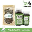 버드펠리스