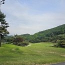 더골프아카데미 네이버블로그