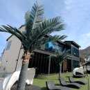 키놀키즈 | 만족스러웠던 여수 키놀 키즈풀빌라 후기~