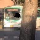 대천동성당주은청설아파트 후문 | 백성운수 5-5, 2-2, 2-3, 8-1번 버스를 모아보려고 합니다.