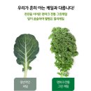 더조은공구 이미지