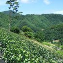 신중농장 이미지